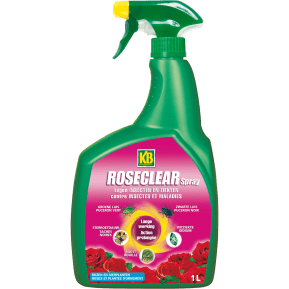 KB Roseclear Spray main image