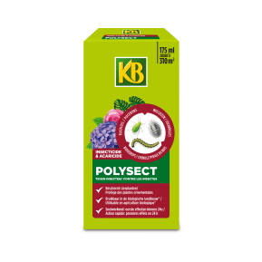 KB® Polysect Concentraat main image