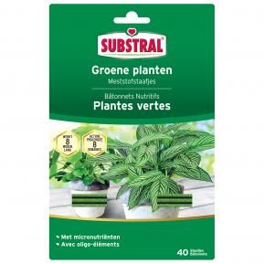 Substral Bâtonnets Nutritifs Pour Plantes Vertes main image