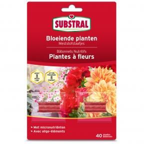 Substral Bâtonnets Nutritifs Pour Plantes À Fleurs main image