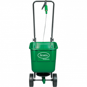 Evergreen Epandeur ‘Easy Green’ main image
