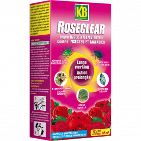 KB Roseclear main image
