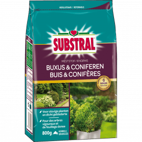 Substral Meststof Voor Buxus en Coniferen main image