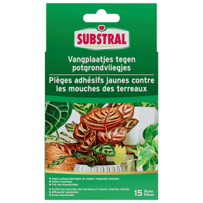 Substral® Pièges adhésifs jaunes contre les mouches de terreaux main image