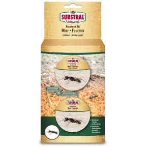 Substral Naturen Fourmi Boîte Appât main image