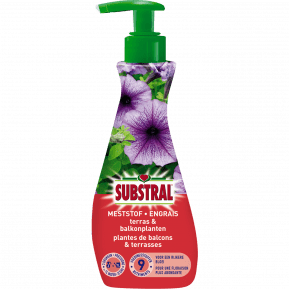 Substral Engrais Pour Plantes De Balcon Et Terrasse main image
