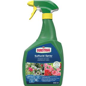 Substral® Sulfucid Spray Rosiers main image