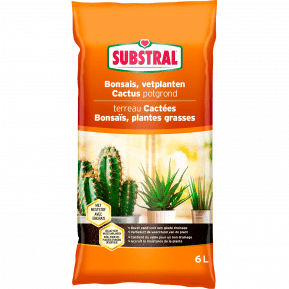 Substral Cactus-, Bonsai- En Vetplantenpotgrond main image