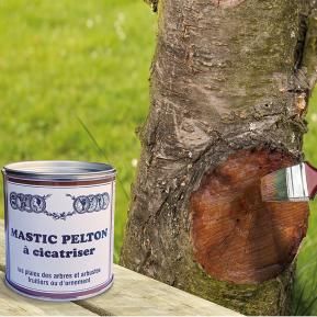 Pelton mastic à cicatriser, 195G