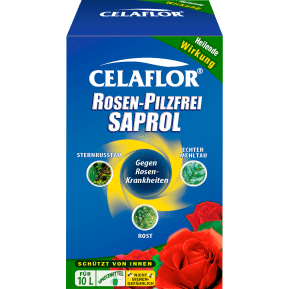 Celaflor® Rosen-Pilzfrei Saprol Konzentrat main image