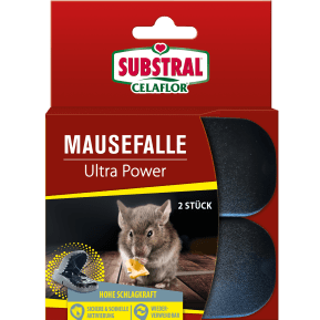 SUBSTRAL® Celaflor® Mausefalle Ultra Power main image