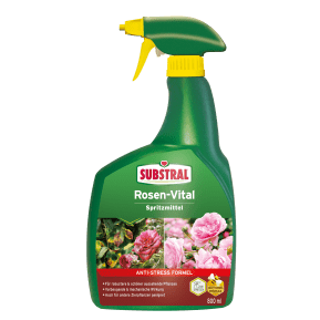3D_66830_SB_Rosen_Vital_Careo_Eco_Spray_1l_4062700866832.png