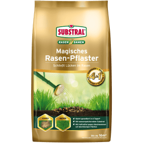 SUBSTRAL® Magisches Rasen-Pflaster main image