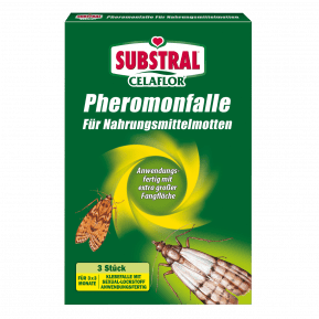 SUBSTRAL® Celaflor® Pheromonfalle für Nahrungsmittelmotten main image