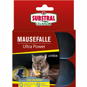 SUBSTRAL® Celaflor® Mausefalle Ultra Power main image