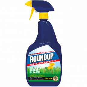 DE_3202_RUP_PS_1.png