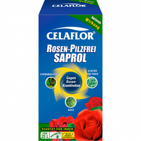 Celaflor® Rosen-Pilzfrei Saprol Konzentrat main image