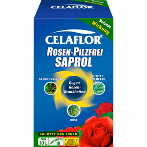 Celaflor® Rosen-Pilzfrei Saprol Konzentrat main image