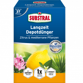 SUBSTRAL® Langzeit Depotdünger für Zitrus und mediterrane Pflanzen main image