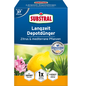 SUBSTRAL® Langzeit Depotdünger für Zitrus und mediterrane Pflanzen main image