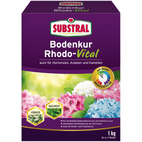 SUBSTRAL® Bodenkur Rhodo-Vital main image