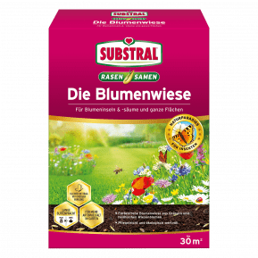 SUBSTRAL® Die Blumenwiese main image