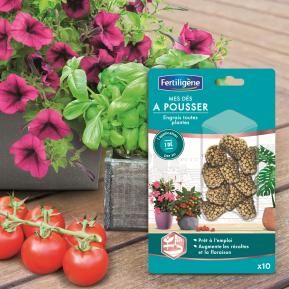 Fertiligène mes dés à pousser toutes plantes image 2
