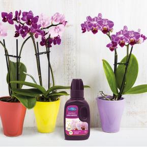 Fertiligène engrais orchidées  image 3