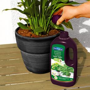 Fertiligène engrais plantes vertes tout prêt image 3