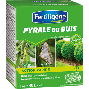 Fertiligène pyrale du buis main image