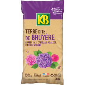 KB terre dite de bruyère main image