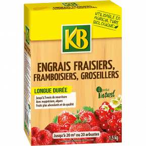 Engrais fraisiers, framboisiers, groseillers main image