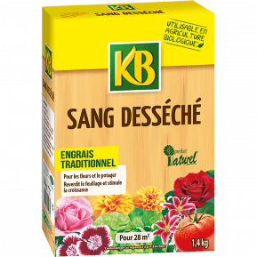 KB sang desséché main image