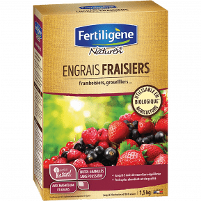 Fertiligène engrais fraisiers, framboisiers, groseilliers main image
