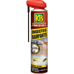 Raid Aerosol Insectes Rampants Tige De Precision 2En1 400Ml : :  Jardin