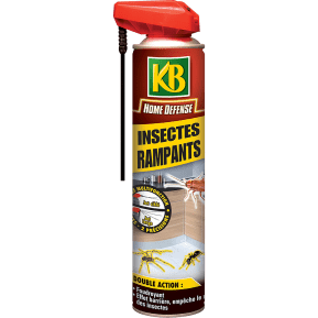 KB Home Defense® insectes rampants aérosol main image