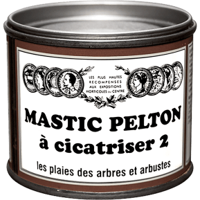 Pelton mastic à cicatriser main image