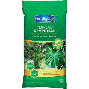 Fertiligène terreau rempotage plantes vertes et fleuries main image