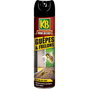KB Guêpes et Frelons Aérosol main image