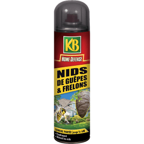 KB Home Defense® Spécial nids de guêpes, frelons aérosol main image