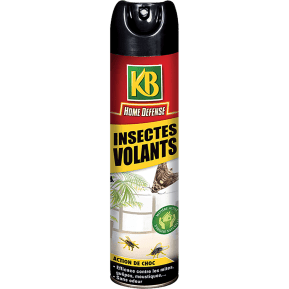 
KB Home Defense®  Insectes volants aérosol main image