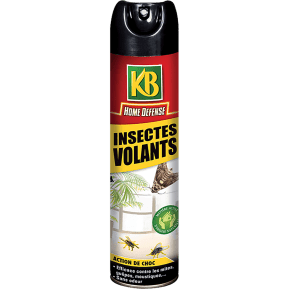 KB Home Defense® Insectes volants aérosol main image