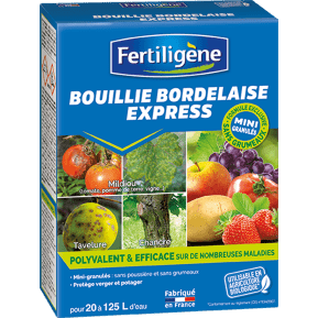 BOUILLIE BORDELAISE START JARDIN 500G