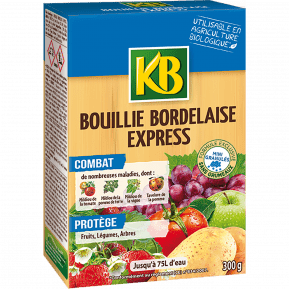 FR_BOUI300_KB_PS.png