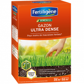 Fertiligene SEVGN Epandeur Gazon Even Green, Vert : : Jardin