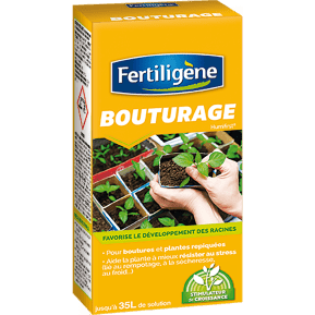 Fertiligène bouturage main image