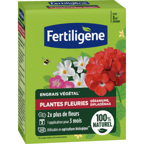FR_FEGFLE650_FTG_PS.png