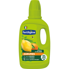 FR_FELAGR400_FTG_PS.png