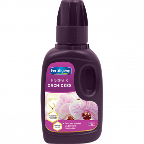 ENGRAIS FOLIAIRE ORCHIDÉES UAB 250ml - Massó Garden