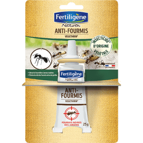 Fertiligène fourmis tubes main image